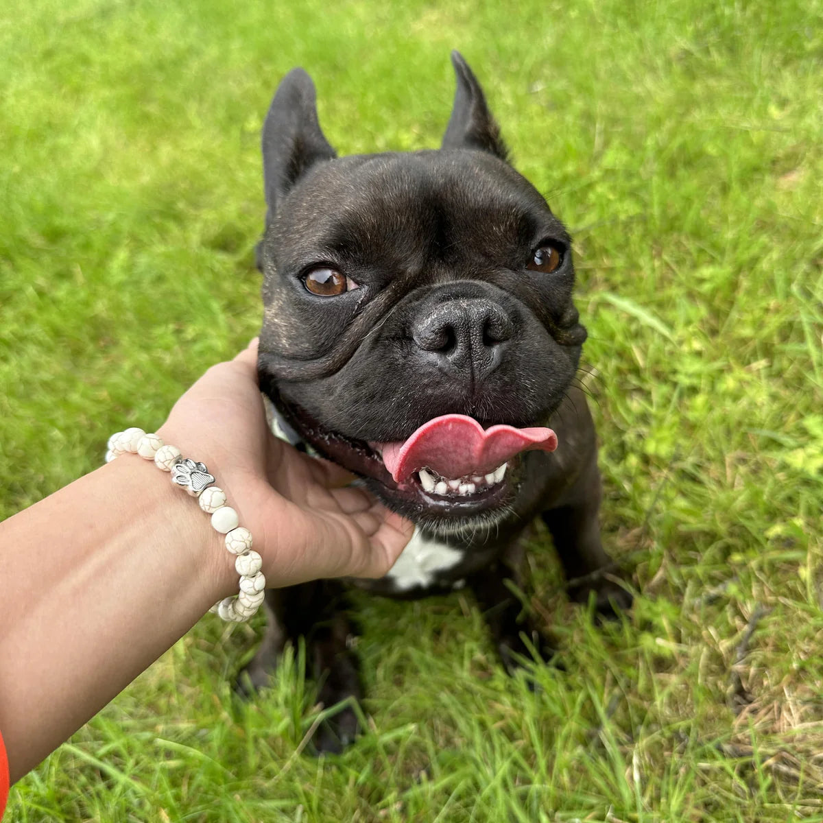 J'aime TOUS les Chiens Bracelet™