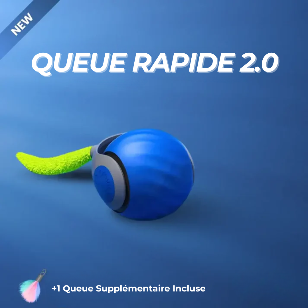 QUEUE RAPIDE 2.0