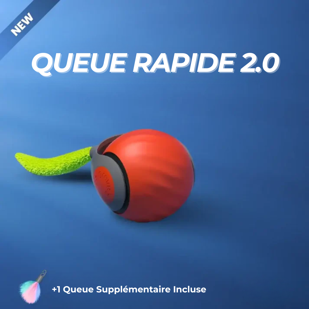 QUEUE RAPIDE 2.0