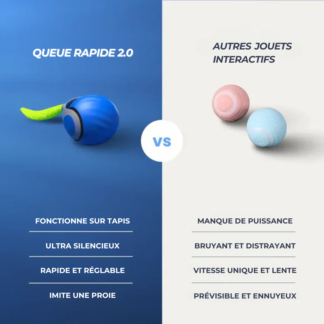 QUEUE RAPIDE 2.0