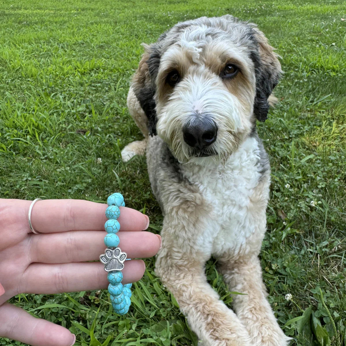 J'aime TOUS les Chiens Bracelet™